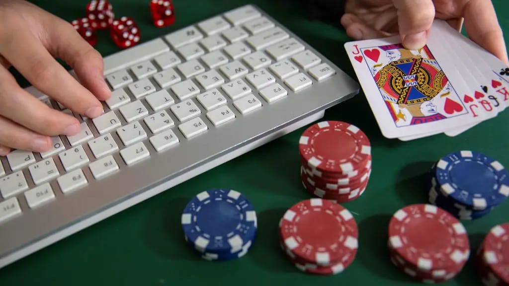 Daman Beginner Guide for Online Gaming and Rewards