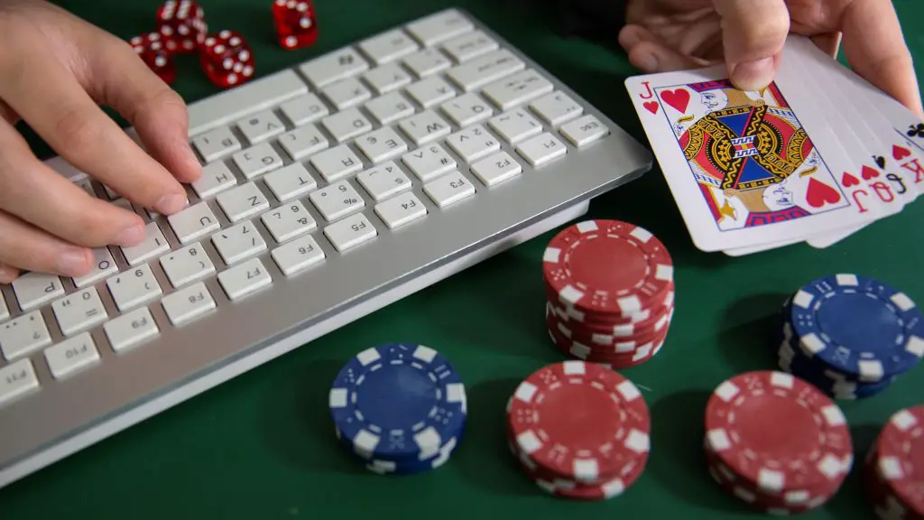 Daman Beginner Guide for Online Gaming and Rewards